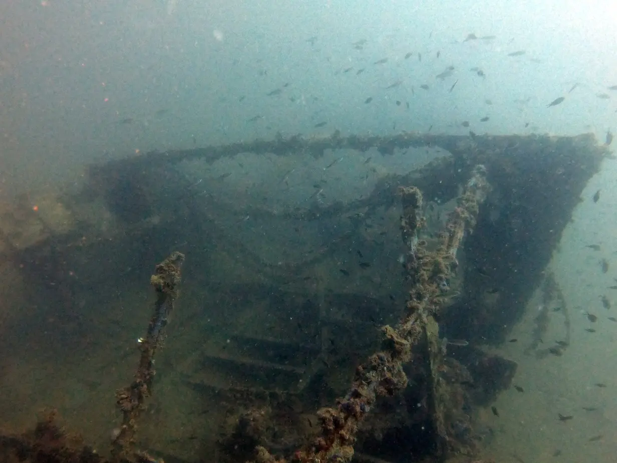 Higgins 78, photograph 2