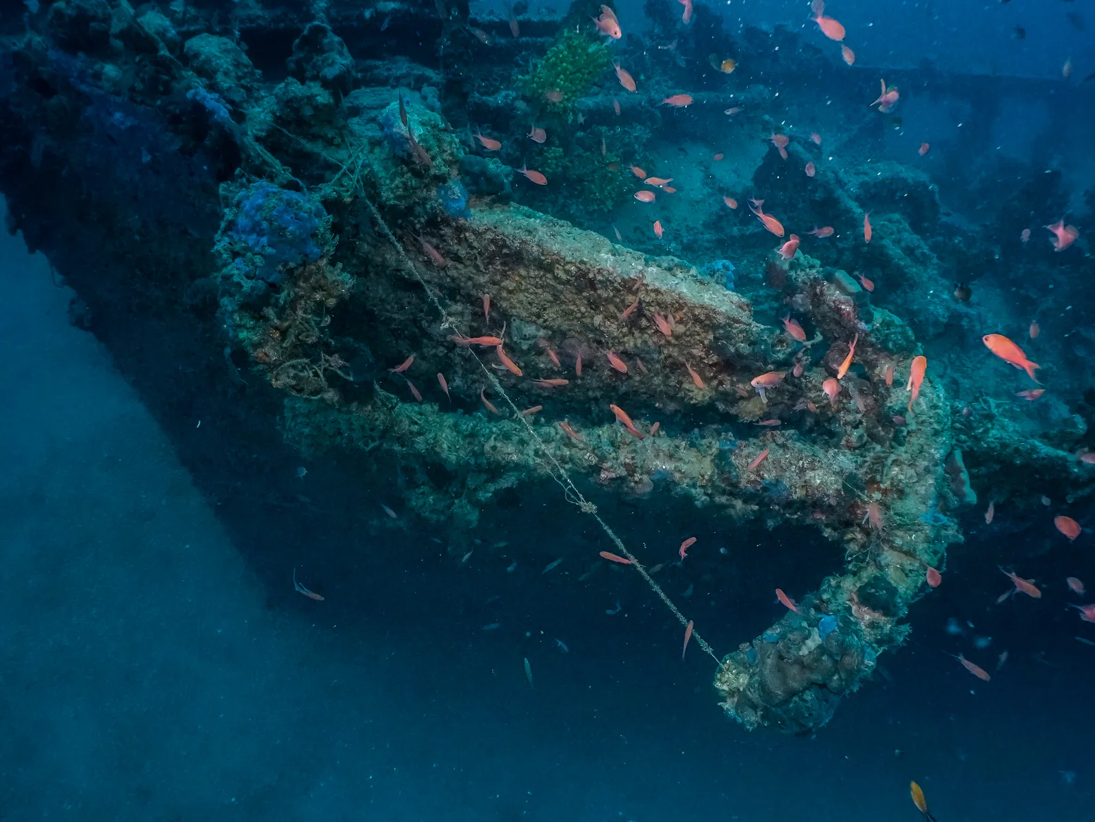 SS Tihany, underwater heritage site