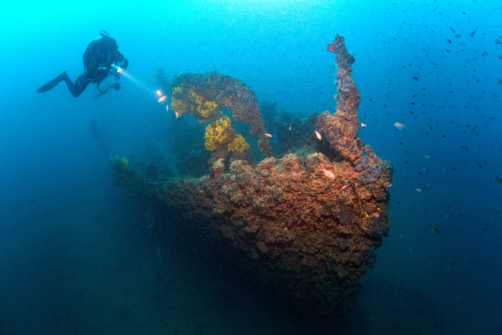 SS Tihany, photograph 8